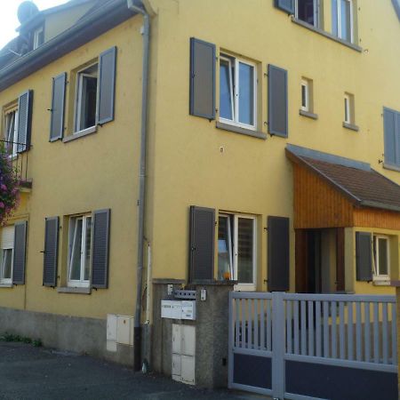 Gite Le Schnouki Ostheim Zewnętrze zdjęcie